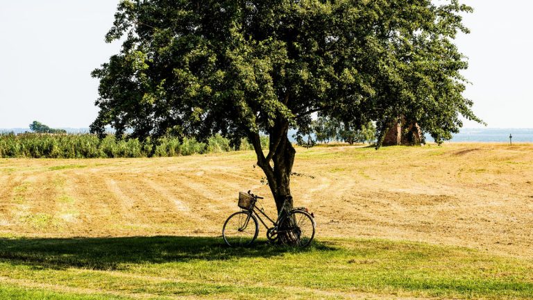 Absence – Lundi 2 juillet