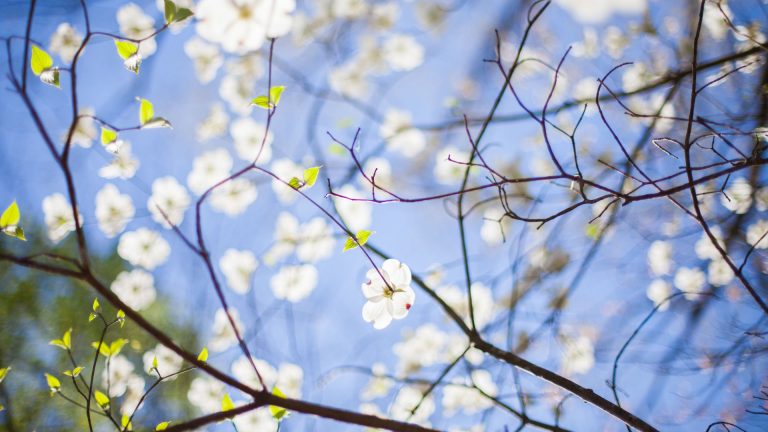 Avril & mai – Modification planning